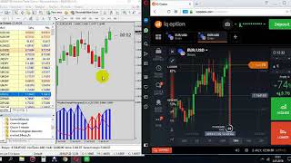 Histogram Indicator Real IQ Option Tradings Free Download [upl. by Nanyk205]