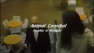 Animal Cannibal  Possibly In Michigan Slowed  Reverb [upl. by Elleynod413]