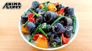 Forage amp Cook Bagongon o quot Tanghaliquot Horn Snail  Ginataang Bagongon na may Sitaw at Kalabasa Recipe [upl. by Ttirrej]