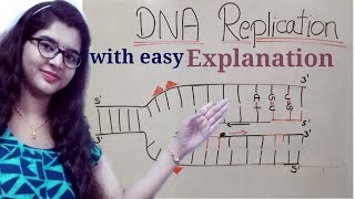 DNA replication in hindi Helicase  leading strand  Lagging strand  Okazaki fragments [upl. by Lorenzana]