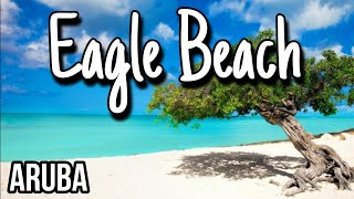 Easy Travel Guide  Eagle Beach  Aruba [upl. by Nonrev]