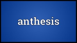 Anthesis Meaning [upl. by Adnih]