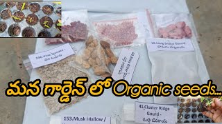 మన తోటి Youtuber దగ్గర తీసుకున్న Seeds Review [upl. by Cordier640]