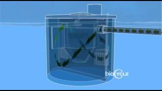 BIOCYCLE TANK ANATOMY 30 [upl. by Falito]