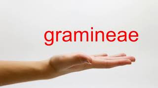 How to Pronounce gramineae  American English [upl. by Pfeifer]