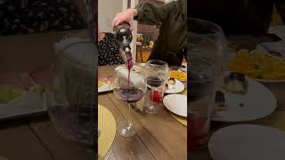 Wine Decanter Builtin Aerator Pourer [upl. by Ingrid]