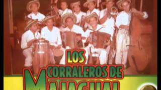 LOS CORRALEROS DE MAJAGUAL LA YERBITA [upl. by Ahsienad]