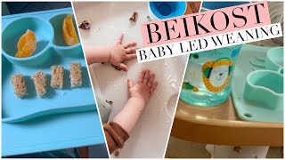 Alles über BEIKOST 🥦 Baby Led Weaning BLW breifrei Wann anfangen Verschlucken amp Rezept Ideen [upl. by Krasnoff]