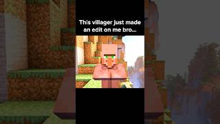 Minecraft Villager Moment [upl. by Otcefrep]