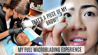 What really happens to your eyebrows after Microblading  Microblading eyebrows experience and vlog [upl. by Barvick]