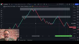 Renko Forex Trading  The Easiest Way To Trade Forex For Profit [upl. by Jacquie]