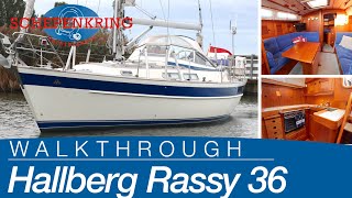 Hallberg Rassy 36 for sale  Yacht Walkthrough   Schepenkring Lelystad  4K [upl. by Lanni]