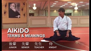 Aikido Terms and Meanings  Blue Spruell 6th Dan Shidoin [upl. by Earized859]