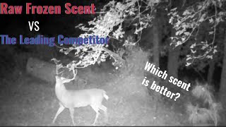 Which deer scent lure is betterRaw Frozen Scent vs The Leading Competitor [upl. by Rigby823]