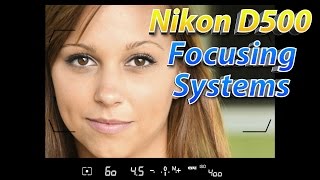 Nikon D500 Tutorial Part 2  How To Focus Training [upl. by Valtin]