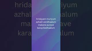 Hridayam muriyum vazha movie song [upl. by Lanti669]