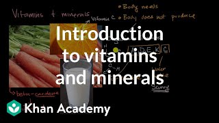 Introduction to vitamins and minerals  Biology foundations  High school biology  Khan Academy [upl. by Nicram143]