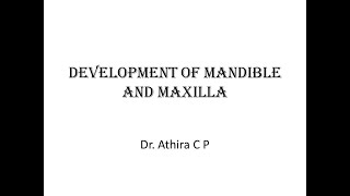 Development of Mandible and Maxilla [upl. by Bertsche]