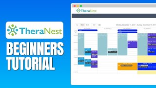 TheraNest Tutorial For Beginners  How To Use TheraNest [upl. by Placeeda]