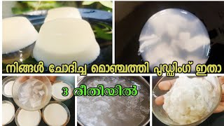 വായിൽ ഇട്ടാൽ അലിഞ്ഞു ചേരുംTender coconut puddingGlass puddingdouble leyer puddingkarikkpudding [upl. by Bree]