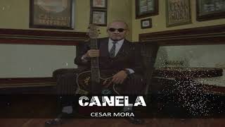 Canela Cesar Mora [upl. by Araj]