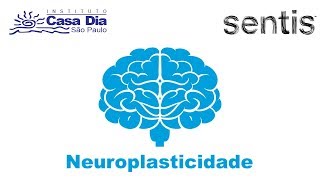 O que é Neuroplasticidade e como funciona [upl. by Annaik870]