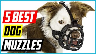 Best Dog Muzzles 2021 Top 5 Picks [upl. by Winstonn]