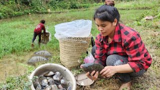 Harvesting process of fish sold at pond  dan water  cooking [upl. by Enahsal275]