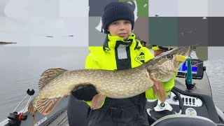 premiär fiske på Mälaren med min kompisgranne catch and release [upl. by Utham233]