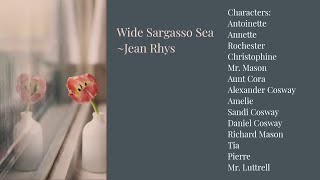 Wide Sargasso Sea by Jean Rhys Summary amp Analysis of the novel [upl. by Casilde]