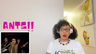 Adam amp The Ants  Antmusic  REACTION REACTION [upl. by Otrevire]