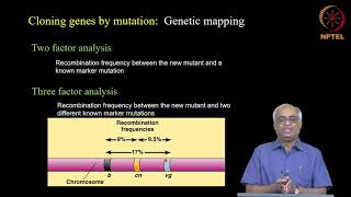 Genetic basis Part 4 of 5 [upl. by Sasnett]