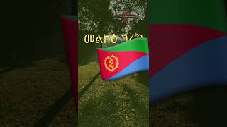 The Eritrean Show 🇪🇷3 eritrea eritrean eritreanshorts eritreantiktok eritreanmusic habesha [upl. by Meade]