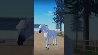 goodbyemse  game Strideaway  Maple springs eventing [upl. by Quartet]