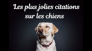 Citations et jolies phrases sur les chiens [upl. by Clyve501]