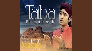 Taiba Ke Jaane Wale [upl. by Trinee]