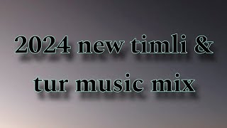 2024 new timli amp tur music mix  2024  mix by DJ SHAILESH [upl. by Amadis852]