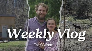 Weekly VlogUpdates on off grid farm outdoor shower build puppy play pen and more THE CC FARM [upl. by Alac]