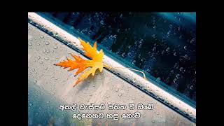 අකල් වැස්සට AKAL WASSATA  SANKHA DINETH  NARADA WIJESURIYA [upl. by Elvina]