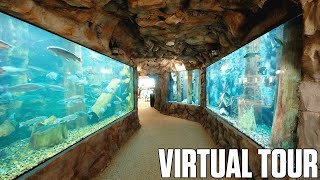 Cabelas Aquarium  Triadelphia West Virginia  Virtual Tour [upl. by Leibman23]