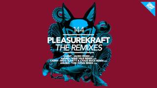 Pleasurekraft  Anubis Tom Flynn Remix [upl. by Minoru]