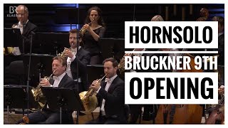 Bruckners 9th Symphony Horns Opening [upl. by Pate375]