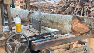 Inside the Sawmill Expert Operators Share Precision Tips [upl. by Arat515]