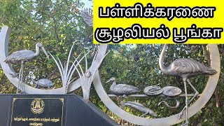 பள்ளிக்கரணை சதுப்புநில சூழலியல் பூங்கா  Pallikaranai Echological Park For BirdWatchers  JAI REKHA [upl. by Colas766]