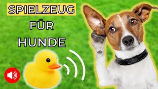 Spielzeug für Hunde 🐶 beschäftigung für hunde [upl. by Gorski]