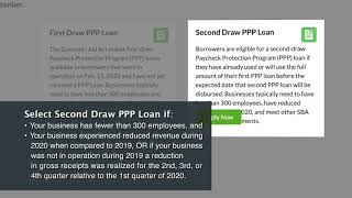 The Paycheck Protection Program Online Application Overview [upl. by Thursby719]