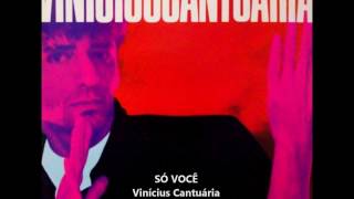 Só Você  Vinícius Cantuária  Original  1984 Com Letra na Descrição  Legendada [upl. by Nyer148]