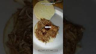 Pulled Pork Barbecue Sandwich [upl. by Antsirhc]