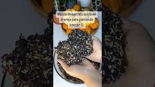 Excelente mezcla de sustrato para plantas🪴🌿🌱 plantasdeinterior fall autumn tips fypyoutube [upl. by Ahsinid]