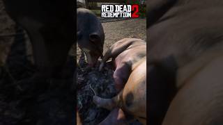 Kannibalismus In Red Dead 2amp GTA ☠️ gta5 reddeadredemtion2 [upl. by Ahtnama]